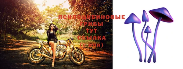 дмт Арсеньев