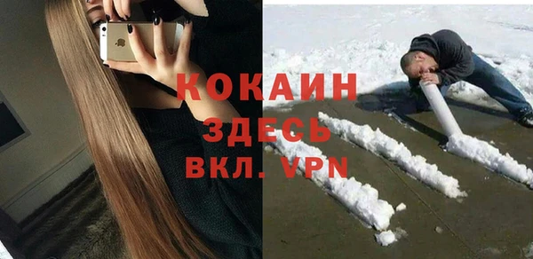 дмт Арсеньев