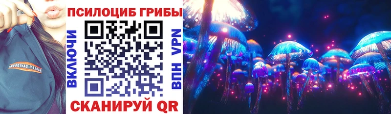 даркнет как зайти  Асино  Галлюциногенные грибы Psilocybe 